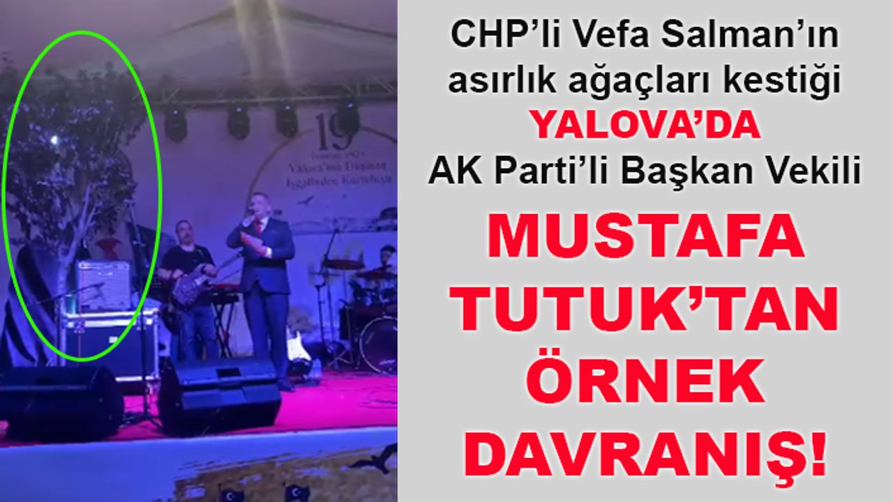 Mustafa Tutuk’tan örnek davranış... sahne ağaçla birlikte kuruldu