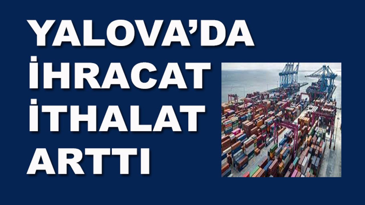 Türkiye ve İllere göre Dış Ticaret İstatistikleri, Kasım 2021