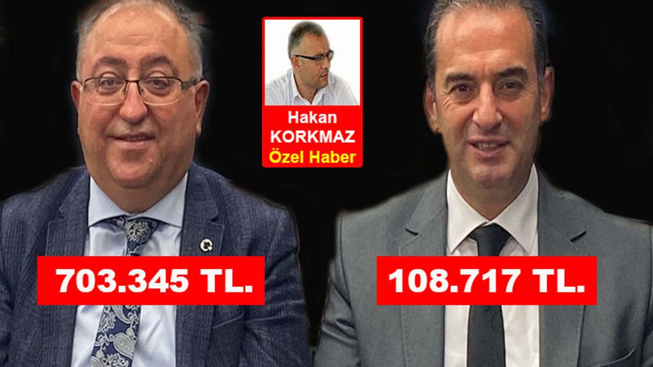 Müfettiş... Kamu zararı... Vefa Salman... Halit Güleç