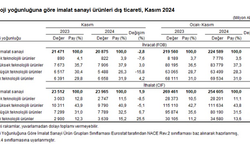 Dış Ticaret İstatistikleri, Kasım 2024