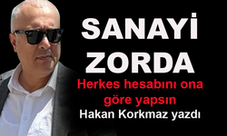 Sanayi zorda