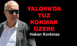 Yalova'da tuz kokmak üzere... Hakan Korkmaz yazdı