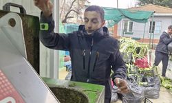 Çınarcık'ta pazar atıkları gübreye dönüşüyor