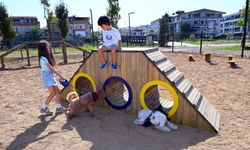 Yalova'da Pati Park açıldı