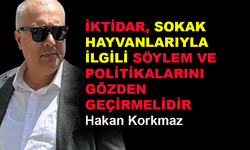 Sokak hayvanlarıyla ilgili politikalar gözden geçirilmeli