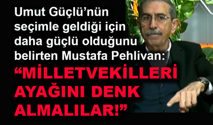 Mustafa Pehlivan: Milletvekilleri ayağını denk almalılar!