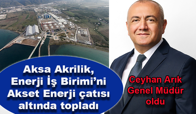 Ceyhan Arık, Akset Enerji Üretim A.Ş. Genel Müdürü oldu