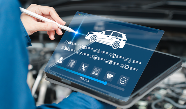 Turka Bayilik başvuruları başladı