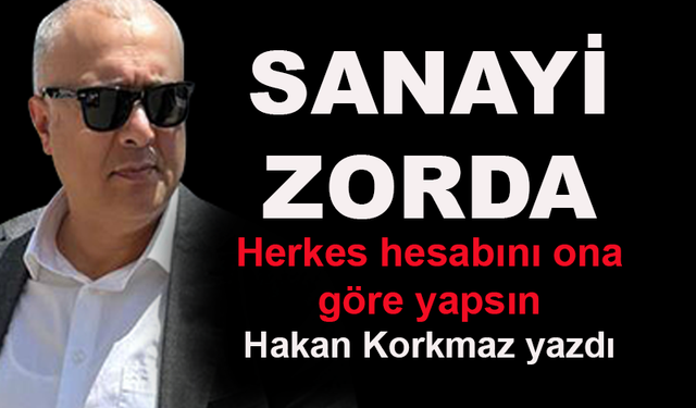 Sanayi zorda