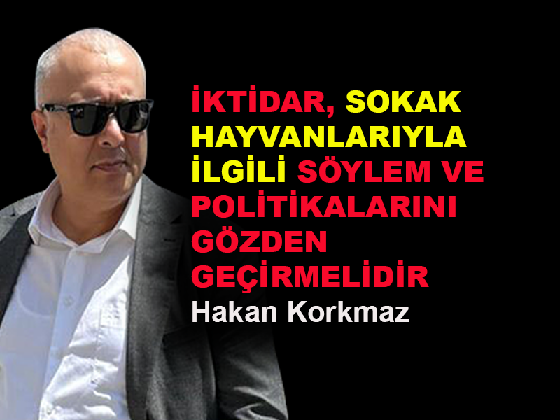 Sokak hayvanlarıyla ilgili politikalar gözden geçirilmeli